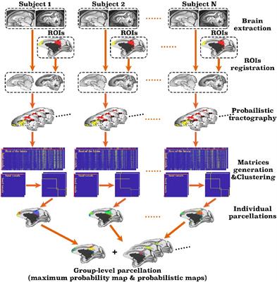 MonkeyCBP: A Toolbox for Connectivity-Based Parcellation of Monkey Brain